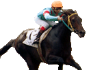 Jeu de gestion d'ecurie. Faites courir votre cheval.