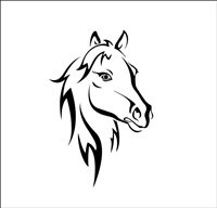 TEAM LICORNE