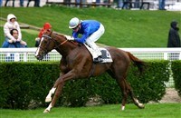 🔱🎖PRECOLAND🐴🔱